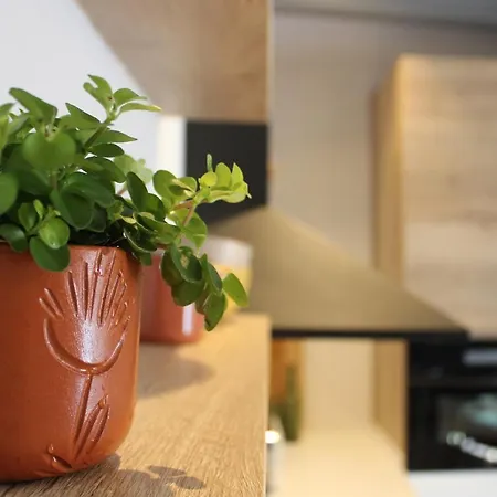 Ximenetxe Vivienda Turistica Holiday home